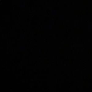 Meet your Posher, Summer